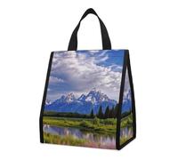 Bolsa térmica reutilizable para el almuerzo, 9 l, a prueba de fugas, ideal para el Parque Nacional Grand Teton, con bolsillos interiores para mujeres y hombres, ideal para refrigerios, trabajo, picn