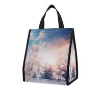 Bolsa térmica reutilizable para el almuerzo, de 9 l, a prueba de fugas, con diseño de hermosos árboles y copos de nieve, con bolsillos interiores para mujeres y hombres, bolsas portátiles para refri