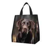 Bolsa térmica reutilizable para el almuerzo, de 9 l, a prueba de fugas, con diseño de Labrador Retriever y bolsillos interiores para mujeres y hombres, bolsas portátiles para refrigerios, bolsas tér