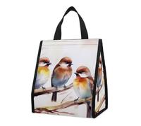 Bolsa térmica reutilizable para el almuerzo, de 9 l, a prueba de fugas, con diseño de pájaros en una rama de árbol y bolsillos interiores para mujeres y hombres, bolsas portátiles para refrigerios,