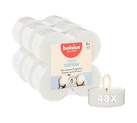 Bolsius - 48 pezzi - candeline profumate - Fresh Cotton - Maxi (8 ore) - con vaschetta trasparente