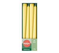 Bolsius Candele affusolate - Giallo - Confezione da 4 - 24,5 cm - Candele decorative per la casa - Durata di 7 ore - Inodore - Cera vegana naturale - Senza olio di palma