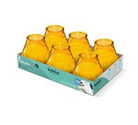 Bolsius Candele per Esterni - 6 Pezzi - In Vetro - Ambra - Durata di Combustione 70 Ore - Senza Olio di Palma - Combustione Pulita - Stoppino di Cotone - Non Profumate