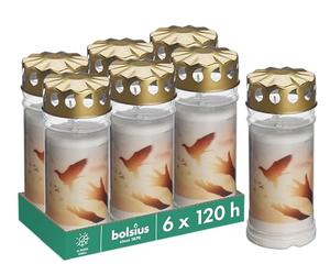 Bolsius Lumini funerali - Bianco - Set 6 pezzi - Lunghezza durata 120 ore - Candela funebre & Memoriale - Con Motivo - Colomba - Non Profumata - Senza Olio di Palma - Nr. 5