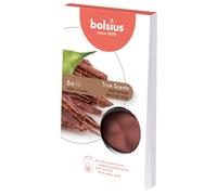 Bolsius True Scents - 6 Wax Melts - Cialde di Cera Profumata