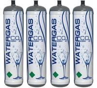 Bombola CO2 600 g Alimentare E290 per Gasatore - CO2 per Acqua Frizzante (4))