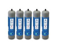 BOMBOLA CO2 E290 USA E GETTA 600 GRAMMI ALIMENTARE PER GASATORI ACQUA 5 PZ