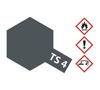 Bomboletta di vernice TS4 Grigio Panzer Mat