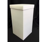 BOMBONIERA SET 10 PEZZI SCATOLA 10x10x21 PANNA FONDO Più COPERCHIO ASTUCCIO