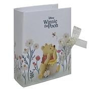 Bomboniere Astuccio Libro Winnie The Pooh, Disney, 10 Pezzi da Montare, Senza Confetti, per Feste e Cerimonie
