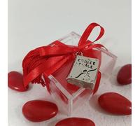 BOMBSINDY 12 plexiglass Porta Confetti con Libro codice Penale con Nappa per Laure in Legge e giurisprudenza (12 Kit plexiglass, con Nappa)