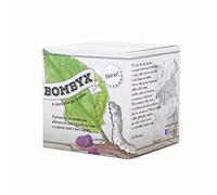 BOMBYX, Il Kit Per Allevare In Casa i Bachi da Seta - Esperimento educativo, Kit educativi scientifici per Bambini, Idee Regalo Bambino Bambina (con COUPON, richiedi bachi in un secondo momento)