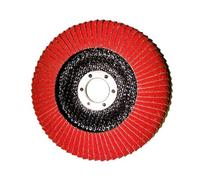 BomDog Ruota Lucidante, Confezione da 5 Dischi Lamellari Curvi per Smerigliatrice Angolare, Disco Lamellare Radiale Curvo ad Alta Densità/5Pcs/5Pcs