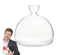 BommFu Vaso da allevamento per avocado e castagne, elegante vaso per vasi di avocado trasparente, vaso di avocado, vaso per piante di alta qualità, trasparente, regalo per gli amanti del giardino