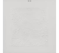 Bon Iver - Bon Iver (10th Anniversary Edition)