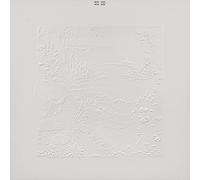 Bon Iver - Bon Iver (10Th Anniversary Edition)