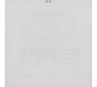 Bon Iver Bon Iver (CD)