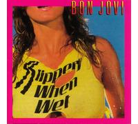 Bon Jovi Slippery When Wet (CD)