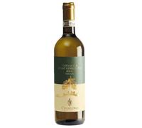Bonacchi VERNACCIA San Gimignano DOCG 2024 CASALINO 2024