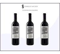 BONARDA Seleccion de Medrano Prodigo | Cantina El Hijo Prodigo | Annata 2018