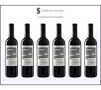 BONARDA Seleccion de Medrano Prodigo | Cantina El Hijo Prodigo | Annata 2018