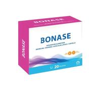 BONASE 20BUST