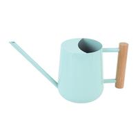 Bonbela Annaffiatoio da 3,7x4,5x6,3 Pollici in Acciaio Inossidabile con Manico in Legno per Piante Grasse (Stile 1)