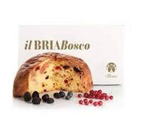 Bonci | Il Bria Bosco | gr 800 Panettone Artigianale