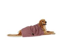 Bone Dry Collezione di Asciugamani per la toelettatura degli Animali Domestici, in Microfibra Assorbente, XL, 41 x 23,5, Mirtillo Rosso a Righe