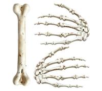 Bone Hair Clips - Gothic Skeleton Hairpin Barrette, Vintage Skeletal Hand Styling Fasteners | Halloween Cosplay Costume Fashion Hairstyle For Securing Ornaments Collection Birthday Women
