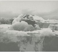If These Trees Could Talk The Bones of a Dying World (CD) Album