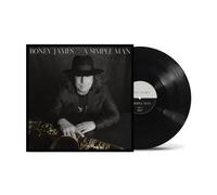 Boney James - A Simple Man
