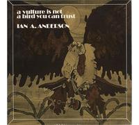 Ian A. Anderson A Vulture Is Not a Bird You Can Trust (Vinyl LP) 12" Album