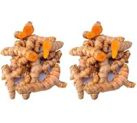 Bongiovanni Bontà Naturali Curcuma Radice a Pezzi 50g Premium | Curcuma Intera Secca per Tisane e Spezie | Antiossidante Naturale, Gusto Intenso e Benefico | Ideale per Infusi e Cucina Salutare.