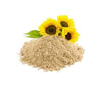 Bongiovanni Bontà Naturali Lecitina di Girasole in Polvere 25 kg