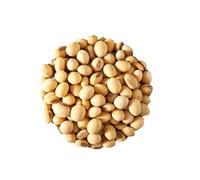 Bongiovanni Bontà Naturali Soia decorticata italiana BIO 1 kg