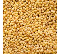 BONGIOVANNI FARINE E BONTA' NATURALI Miglio Soffiato 5Kg BIO