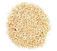 BONGIOVANNI FARINE E BONTA' NATURALI Quinoa 5Kg BIO