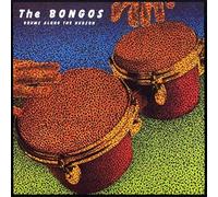 BONGOS - DRUMS ALONG THE HUDSON