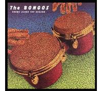Bongos - Drums Along The Hudson