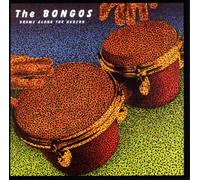 Bongos - Drums Along The Hudson