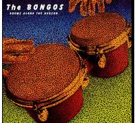 Bongos - Drums Along The Hudson