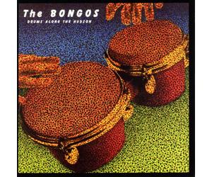 Bongos - Drums Along The Hudson