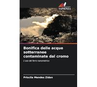 Bonifica delle acque sotterranee contaminate dal cromo: L'uso del ferro nanometrico