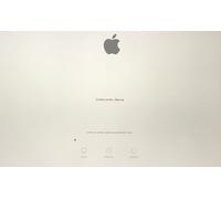 Bonifica virus e malware iMac 21.5"-27" 2012-2019 - recupero accesso