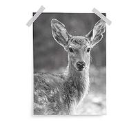 Bonjourbebe Poster 40 x 30 - Immagini incorniciate, unisex