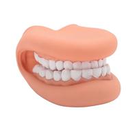 BONKZEBU Burattino per la Bocca con Lingua, Modello Didattico per Logopedia in Silicone a 28 Denti per L'educazione All'igiene Orale dei Bambini
