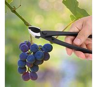 BONKZEBU Strumenti per Modellare i Rami dei Bonsai Forgiati a Mano per Tagliare Fiori, Alberi da Frutto, Bonsai per Giardinaggio Interno Ed Esterno, Elevata Durezza 8,1x2,2x0,8 Pollici