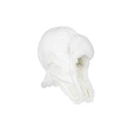 Bonnet white edition 0-6 mois