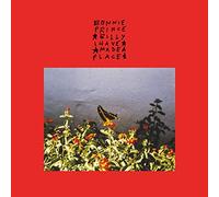 Bonnie Prince Billy I Made a Place Color Limited Edt.) (Vinyl LP)